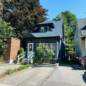  Apartment Lovely Ii Space Share A East York Canada